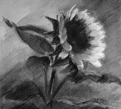 Summer Solstice #4